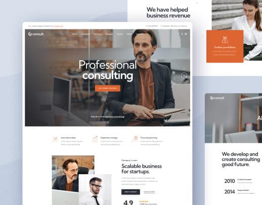 Consulting