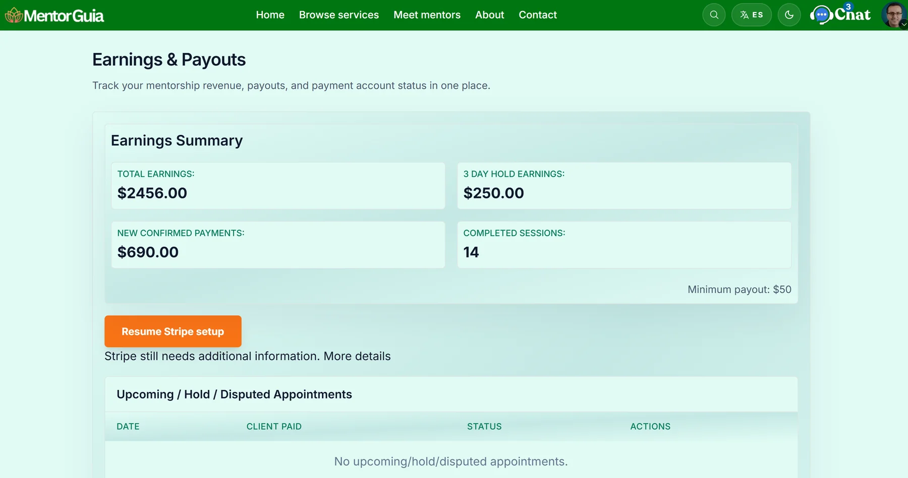 Payment and Earnings Dashboard screenshot