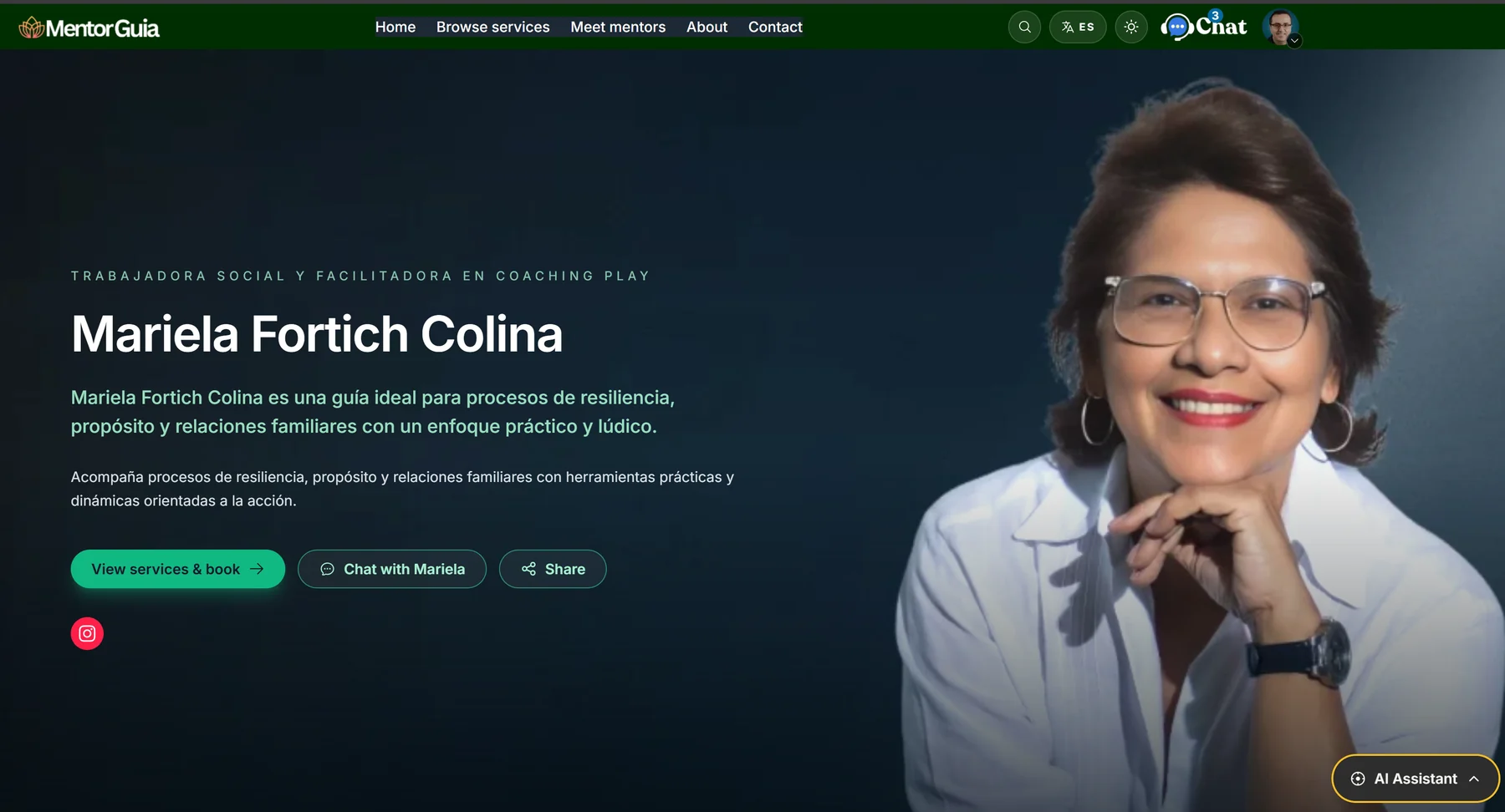 Mentor Profile and Portfolio Page screenshot